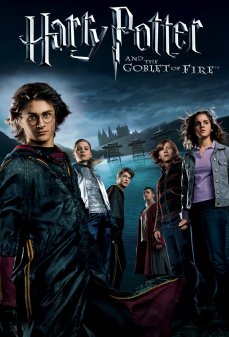 مشاهدة وتحميل فلم Harry Potter and the Goblet of Fire هاري بوتر وكأس النار اونلاين