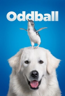 تحميل فلم Oddball and the Penguins اولاين مشاهده مباشره مشاهدة وتحميل فلم Oddball and the Penguins غريب الأطوار والبطاريق اونلاين