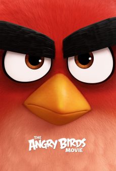 تحميل فلم The Angry Birds Movie اولاين مشاهده مباشره مشاهدة وتحميل فلم The Angry Birds Movie فيلم الطيور الغاضبة اونلاين