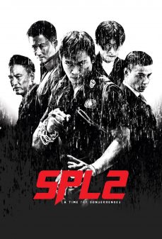 مشاهدة وتحميل فلم Kill Zone 2 منطقة قتل 2 اونلاين