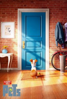 تحميل فلم The Secret Life of Pets اولاين مشاهده مباشره مشاهدة وتحميل فلم The Secret Life of Pets الحياة السرية للحيوانات الأليفة اونلاين