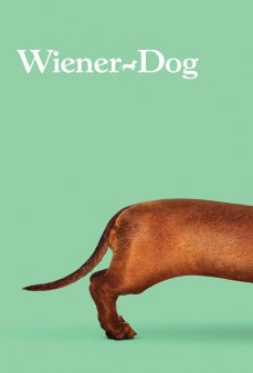 تحميل فلم Wiener-Dog اولاين مشاهده مباشره مشاهدة وتحميل فلم Wiener-Dog كلب الداشهند اونلاين