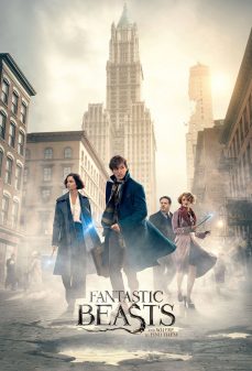 تحميل فلم Fantastic Beasts and Where to Find Them اولاين مشاهده مباشره مشاهدة وتحميل فلم Fantastic Beasts and Where to Find Them الوحوش المذهلة وأين تجدها اونلاين