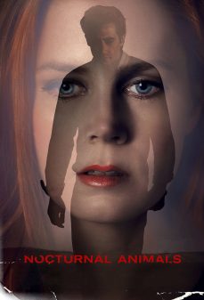 تحميل فلم Nocturnal Animals اولاين مشاهده مباشره مشاهدة وتحميل فلم Nocturnal Animals حيوانات ليلية اونلاين