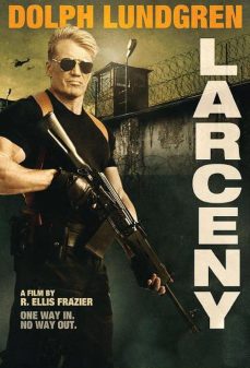 مشاهدة وتحميل فلم Larceny انتحال اونلاين