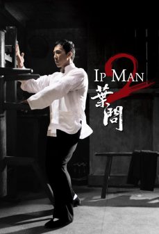 تحميل فلم Ip Man 2 اولاين مشاهده مباشره مشاهدة وتحميل فلم Ip Man 2 رجل الـ آي بي 2 اونلاين