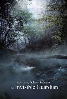 مشاهدة وتحميل فلم The Invisible Guardian  اونلاين