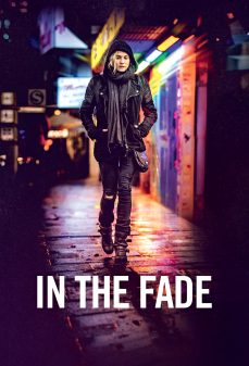 مشاهدة وتحميل فلم In The Fade  اونلاين