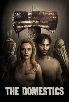 مشاهدة وتحميل فلم The Domestics  اونلاين
