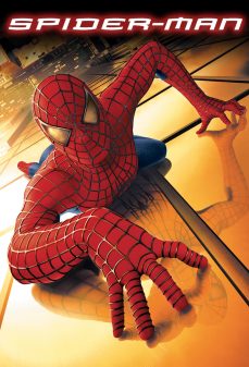 تحميل فلم Spider Man اولاين مشاهده مباشره مشاهدة وتحميل فلم Spider Man الرجل العنكبوت اونلاين