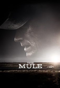 تحميل فلم The Mule اولاين مشاهده مباشره مشاهدة وتحميل فلم The Mule مهرب المخدرات اونلاين