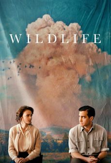 تحميل فلم Wildlife اولاين مشاهده مباشره مشاهدة وتحميل فلم Wildlife الحياة البرية اونلاين