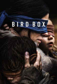 تحميل فلم Bird Box اولاين مشاهده مباشره مشاهدة وتحميل فلم Bird Box صندوق الطائر اونلاين