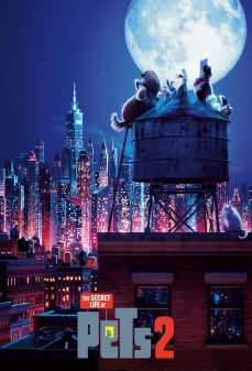 مشاهدة وتحميل فلم The Secret Life of Pets 2 الحياة السرية للحيوانات الأليفة 2 اونلاين
