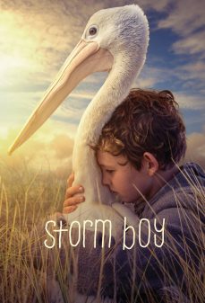 مشاهدة وتحميل فلم Storm Boy فتى العاصفة اونلاين