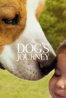 مشاهدة وتحميل فلم A Dogs Journey رحلة كلب اونلاين