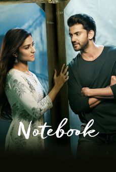 تحميل فلم Notebook اولاين مشاهده مباشره مشاهدة وتحميل فلم Notebook مفكرة اونلاين