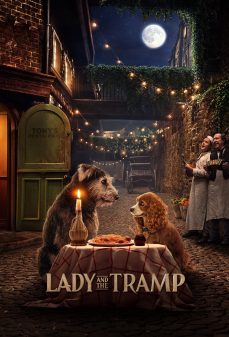 تحميل فلم Lady and the Tramp اولاين مشاهده مباشره مشاهدة وتحميل فلم Lady and the Tramp ليدي وترامب اونلاين