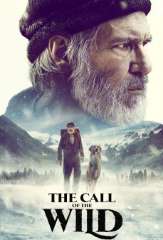 مشاهدة وتحميل فلم The Call of the Wild نداء البرية اونلاين
