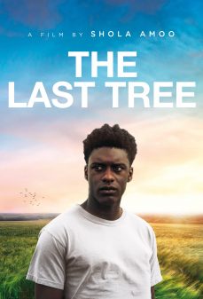 تحميل فلم The Last Tree اولاين مشاهده مباشره مشاهدة وتحميل فلم The Last Tree أخر شجرة اونلاين