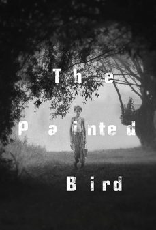 تحميل فلم The Painted Bird اولاين مشاهده مباشره مشاهدة وتحميل فلم The Painted Bird الطائر الملون اونلاين