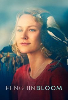 تحميل فلم Penguin Bloom اولاين مشاهده مباشره مشاهدة وتحميل فلم Penguin Bloom بينجوين بلوم اونلاين