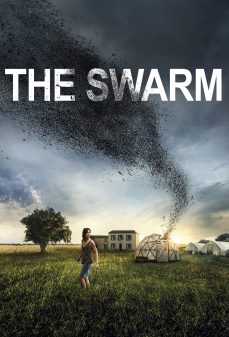 تحميل فلم The Swarm اولاين مشاهده مباشره مشاهدة وتحميل فلم The Swarm السرب اونلاين