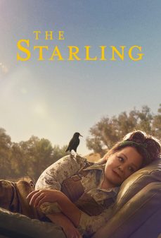 تحميل فلم The Starling اولاين مشاهده مباشره مشاهدة وتحميل فلم The Starling الزرزور اونلاين