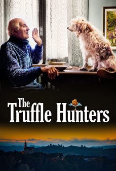 مشاهدة وتحميل فلم The Truffle Hunters صيادي الكمأة اونلاين