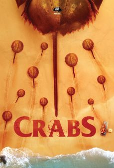 تحميل فلم Crabs! اولاين مشاهده مباشره مشاهدة وتحميل فلم Crabs! السلطعونات اونلاين
