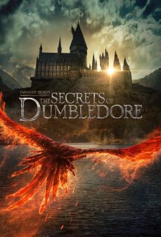 مشاهدة وتحميل فلم Fantastic Beasts: The Secrets of Dumbledore الوحوش الرائعة: أسرار دمبلدور اونلاين