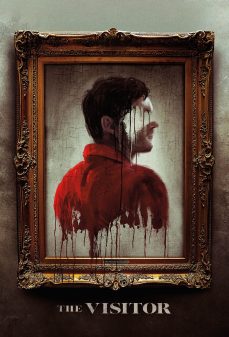 مشاهدة وتحميل فلم The Visitor الزائر  اونلاين
