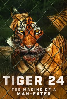 تحميل فلم Tiger 24 اولاين مشاهده مباشره مشاهدة وتحميل فلم Tiger 24 نمر 24 اونلاين