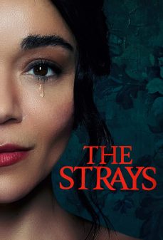 مشاهدة وتحميل فلم The Strays الشوارد اونلاين