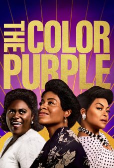 تحميل فلم The Color Purple اولاين مشاهده مباشره مشاهدة وتحميل فلم The Color Purple اللون البنفسجي اونلاين