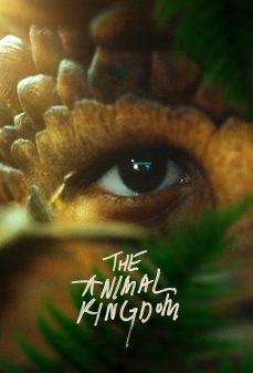 تحميل فلم The Animal Kingdom اولاين مشاهده مباشره مشاهدة وتحميل فلم The Animal Kingdom مملكة الحيوانات اونلاين